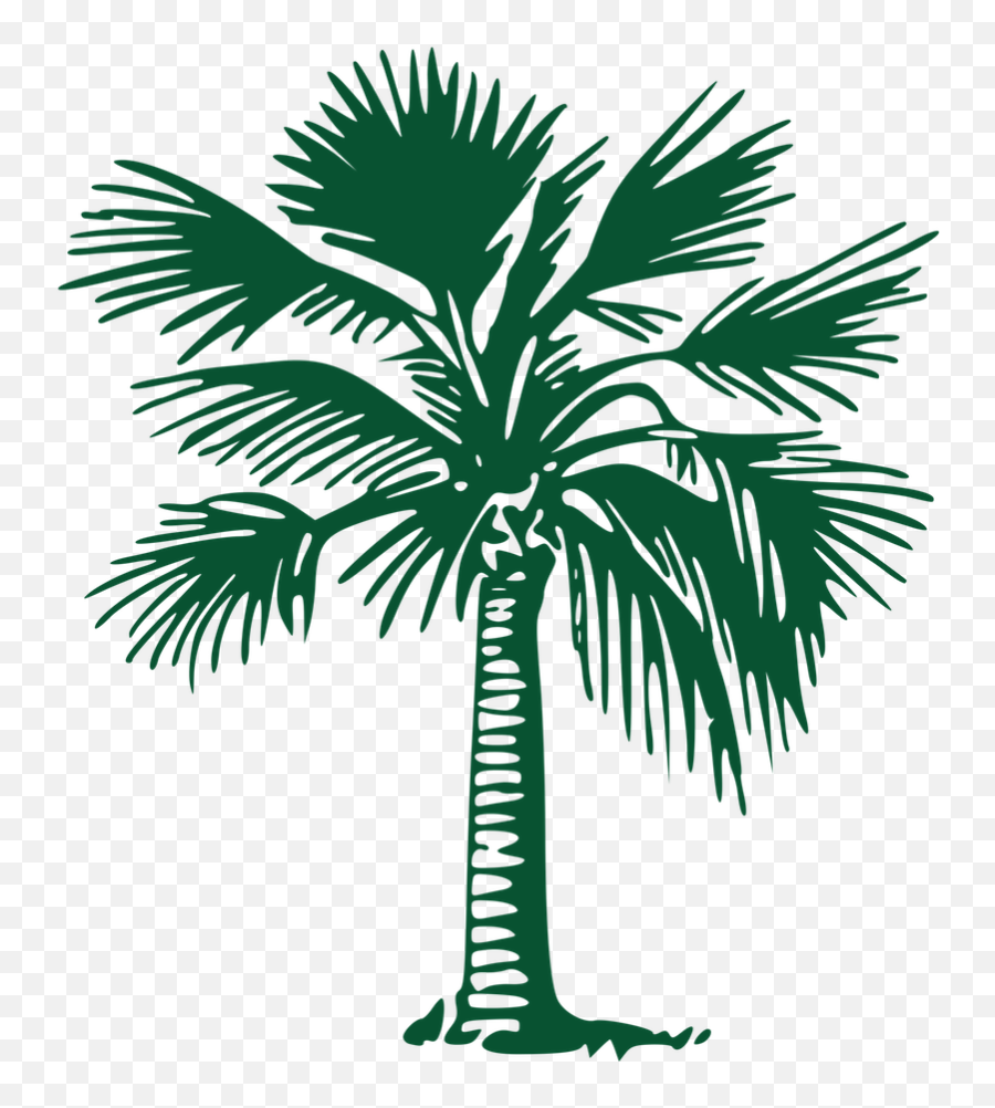 Tree Services Gold Coast Stump Grinding U0026 Cutting - Palm Trees Png,Palm Tree Logo