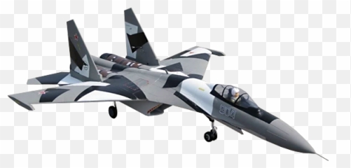 Skyraccoon - Freewing Su35 png