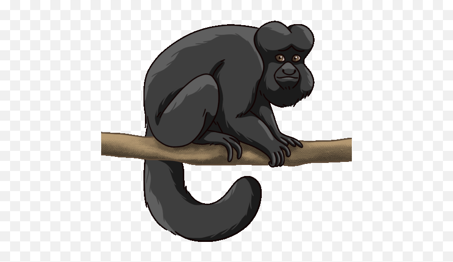 Monkey Saki Sticker - Monkey Saki Black Bearded Saki Anime Black Monkey Gif Png,Icon Monkey Smile