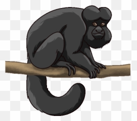 Monkey Saki Sticker - Black Bearded Anime Gif png