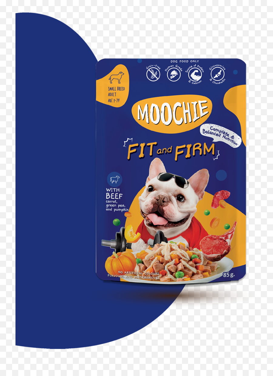 Moochie Png Icon Tidningen