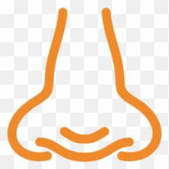 Nose Vector Icons Free Download In Svg Png Format Size Icon