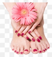 Nails Png - Pedicure Y Manicure,Toe Png