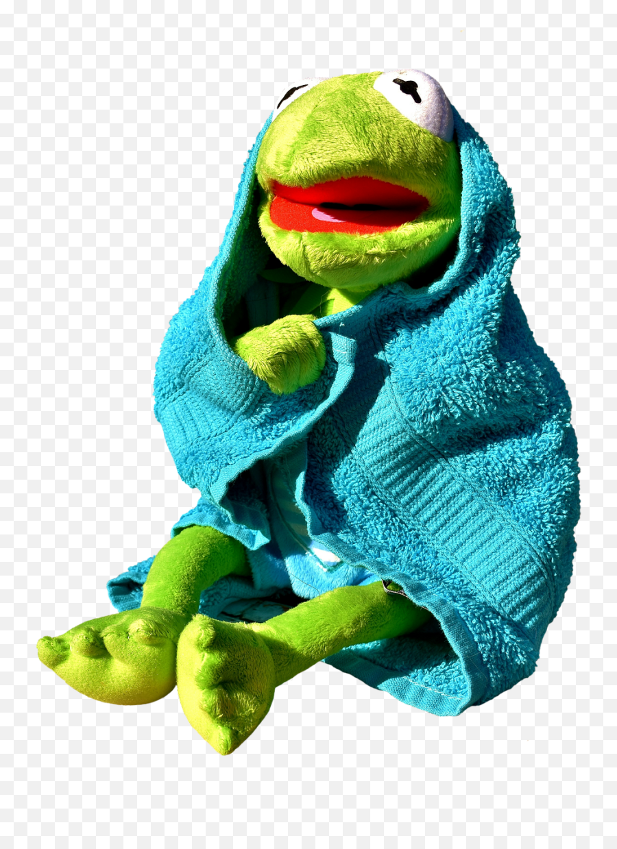 Kermitfrogtoweldryfunny - Free Image From Needpixcom Kermit The Frog Funny Png,Kermit Transparent
