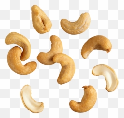 Cashew Nut Png - Cashew Nut Png,Cashew Png