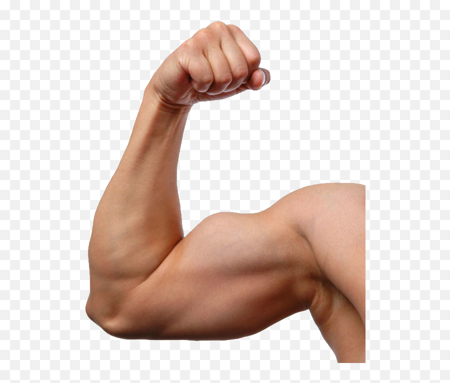 Muscle - Transparent Background Muscular Arm Png,Muscle Emoji Png