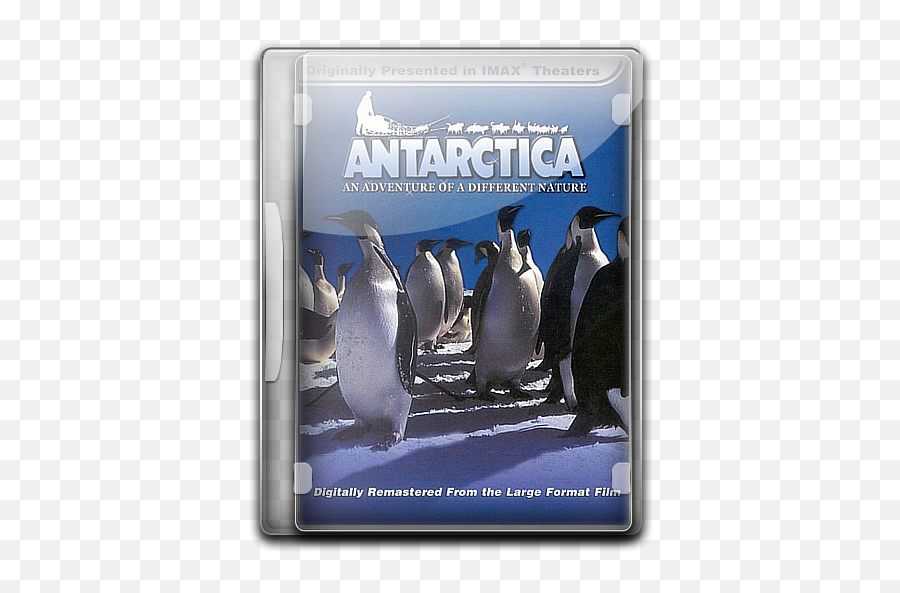 Antarctica V2 Icon English Movies 3 Iconset Danzakuduro - Imax Png,Antarctica Png