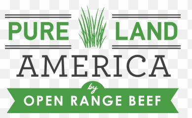 Pureland America - Kamppi png