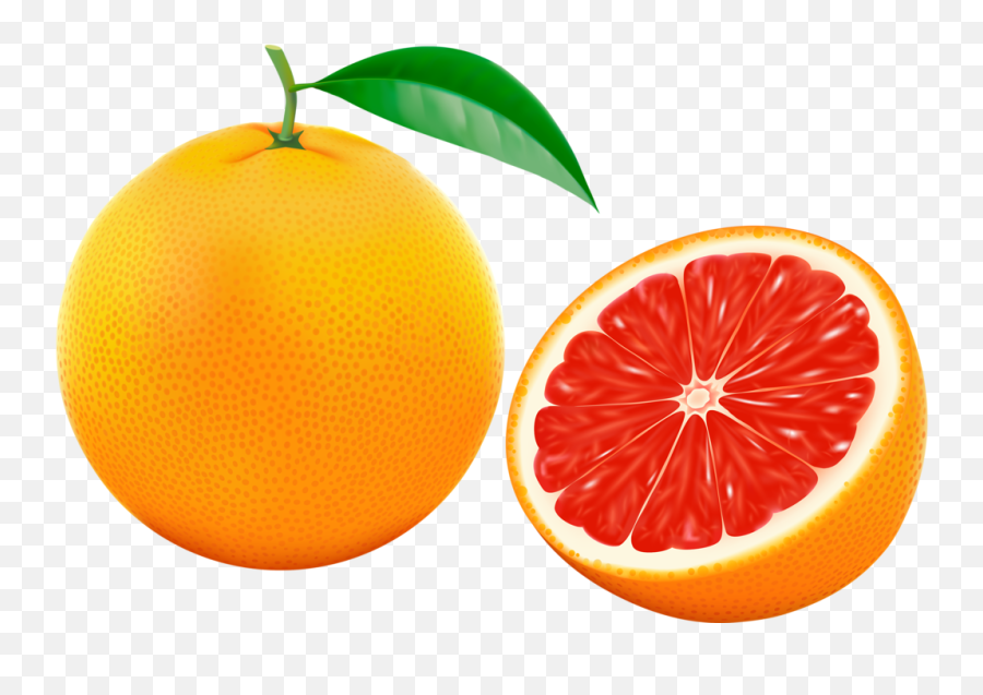Grapefruit Png - Grapefruit Illustration,Grapefruit Png