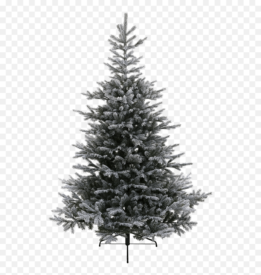 Käthe Wohlfahrt - Online Shop Tree Grandis Fir Snowy 7087 Inch Christmas Decorations And More Grantræ Png,Snowy Tree Png