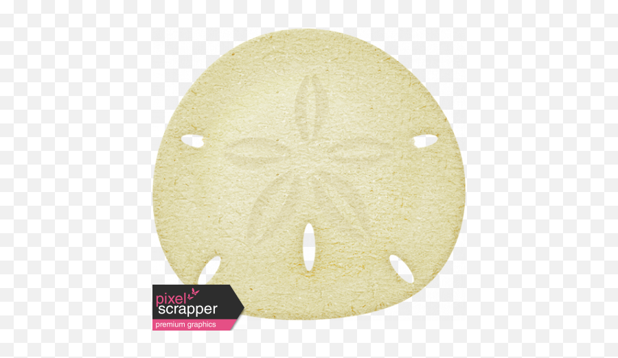 At The Beach - Sand Dollar Graphic By Sheila Reid Pixel Circle Png,Sand Dollar Png