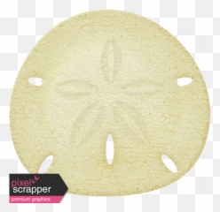 At The Beach - Sand Dollar Graphic By Sheila Reid Pixel Circle Png,Sand Dollar Png