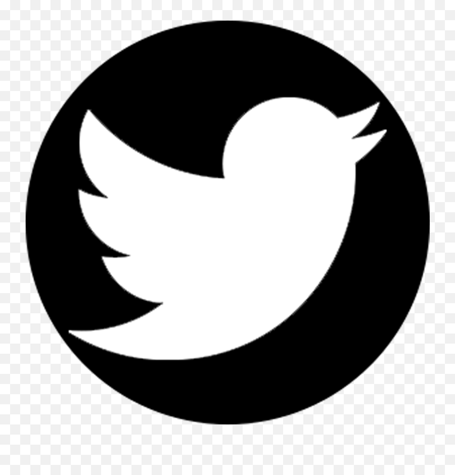 Logo Twitter Computer Icons Hd Image - Twitter Logo Png White,Twitter Logo Transparent