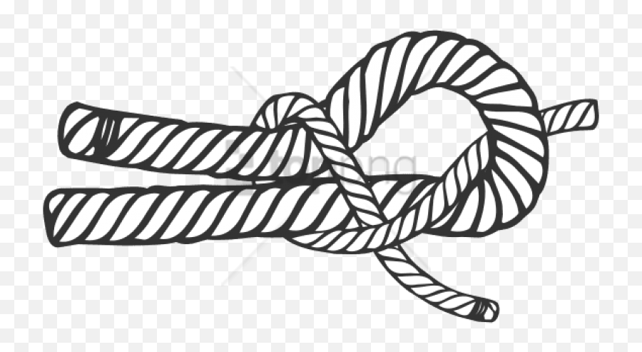 Download Free Png Sheet Bend Knot - Sheet Bend Knot Drawing,Knot Png