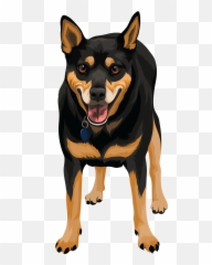 Wall - E Lee U2013 Join Me On My Adventures Rottweiler Png,Wall E Png