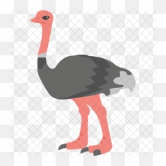 Ostrich Icon - Ostrich Png,Ostrich Png