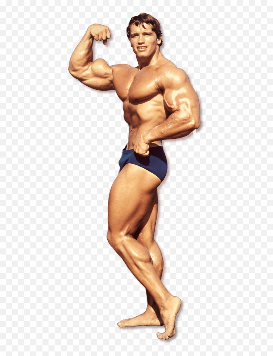 Download - Arnold Schwarzenegger Mr Olympia Png,Body Builder Png