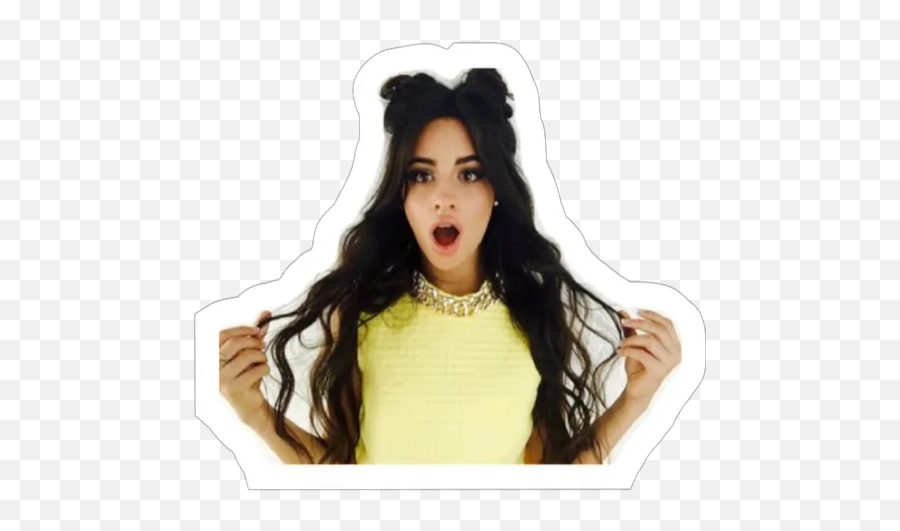 Sticker Maker - Camila Cabello Space Buns Png,Camila Cabello Png