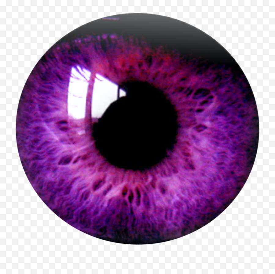People With Violet Eyes Png Free - Purple Eye Png,Violet Png