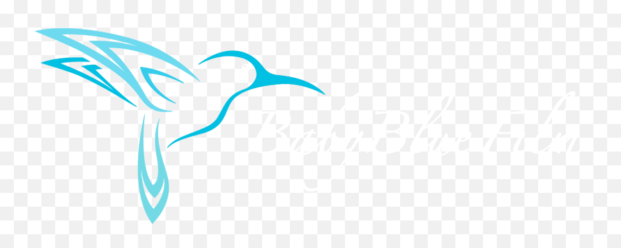 Download Baby Blue Film - Colibri Bird Vector Full Size Colibri Drawing Png,Film Burn Png
