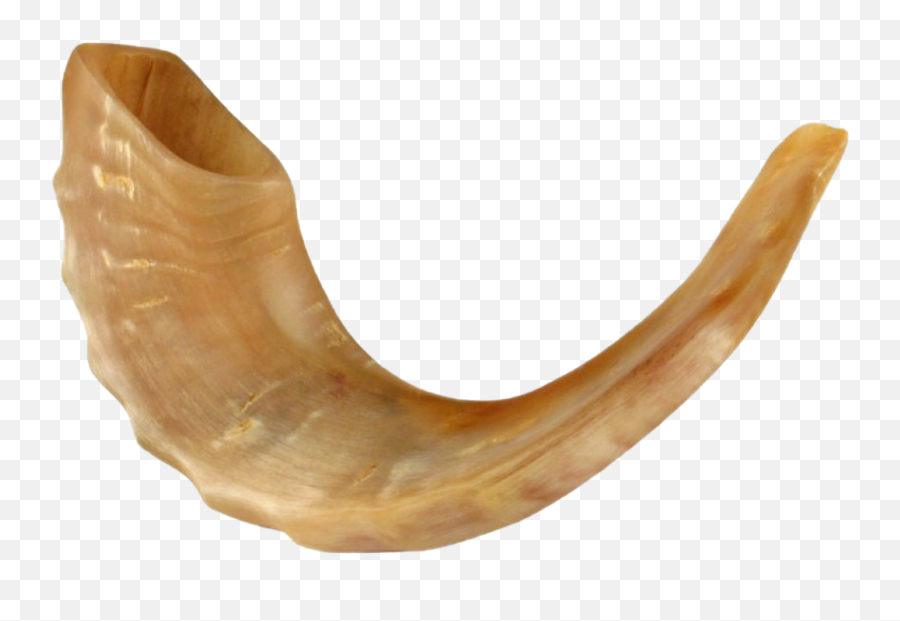 Shofar Png Free Download - Shofar,Shofar Png