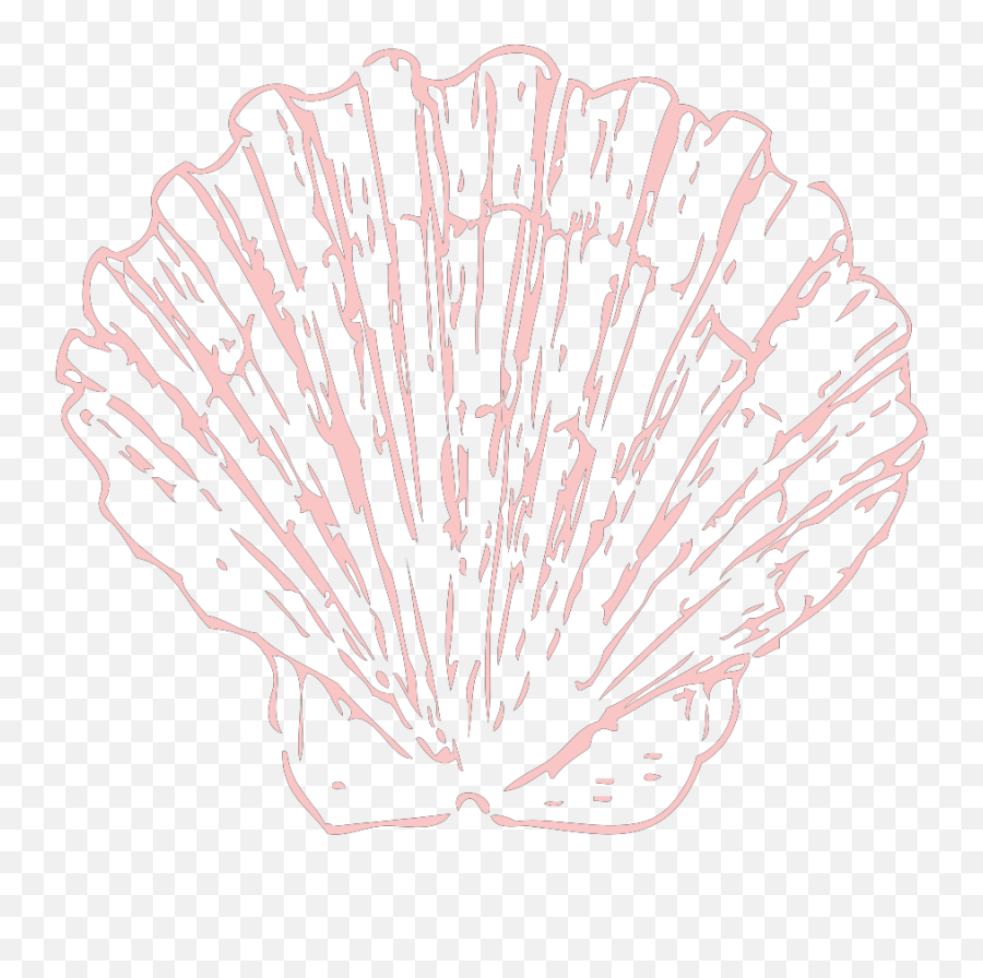 Seashell Svg Vector Clip Art - Svg Clipart Sketch Png,Seashell Clipart Png