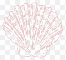 Seashell Svg Vector Clip Art - Svg Clipart Sketch Png,Seashell Clipart Png
