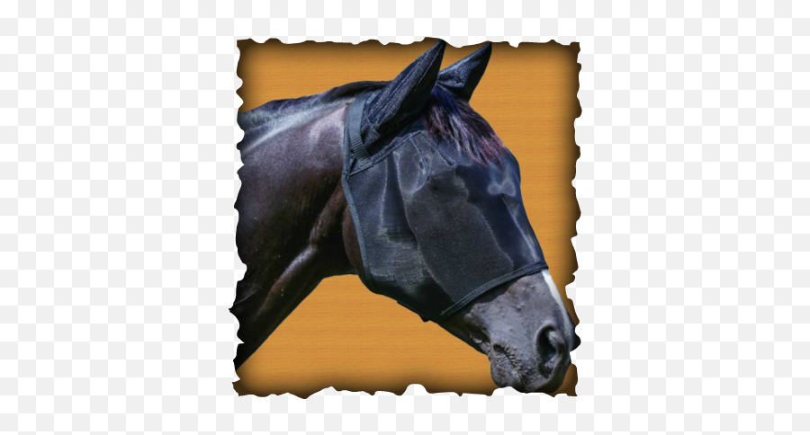 Fly Mask Manufacturer In Uttar Pradesh India By Alano Exims - Sacred Sites Ap Human Geography Png,Horse Mask Png