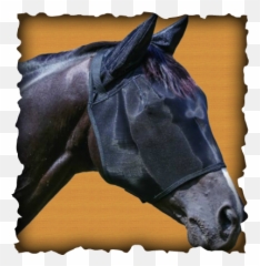 Fly Mask Manufacturer In Uttar Pradesh India By Alano Exims - Sacred Sites Ap Human Geography Png,Horse Mask Png