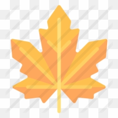 Maple Leaf - Lovely png