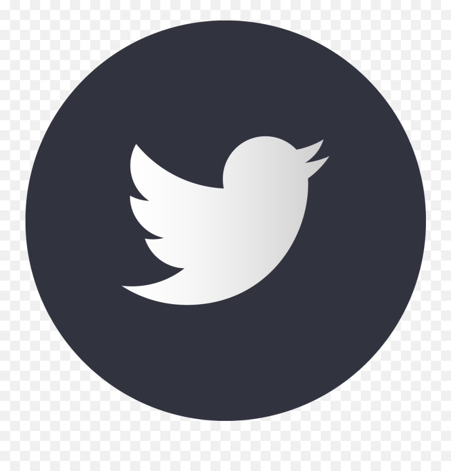 All Covid - 19 Faqs Black Circular Twitter Logo Png,Icon G11