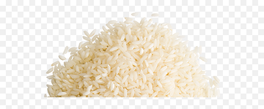 Png Background - Rice Graphic Design Png,Rice Transparent Background