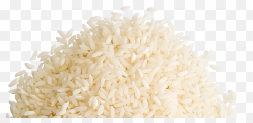Png Background - Rice Graphic Design Png,Rice Transparent Background