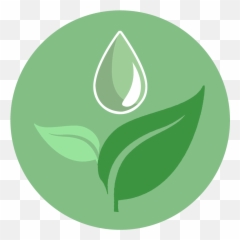 All Products Evg Extracts - Language png