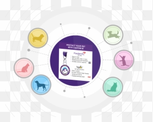 Pawdentify Pro U2013 Pawdentifypro - Dot png