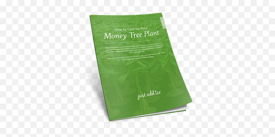 Money Tree Plants Just Add Ice Orchids - Horizontal Png,Money Tree Icon