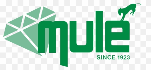 Mule Lighting - Language png