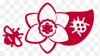 Ladybug Produce - Floral png