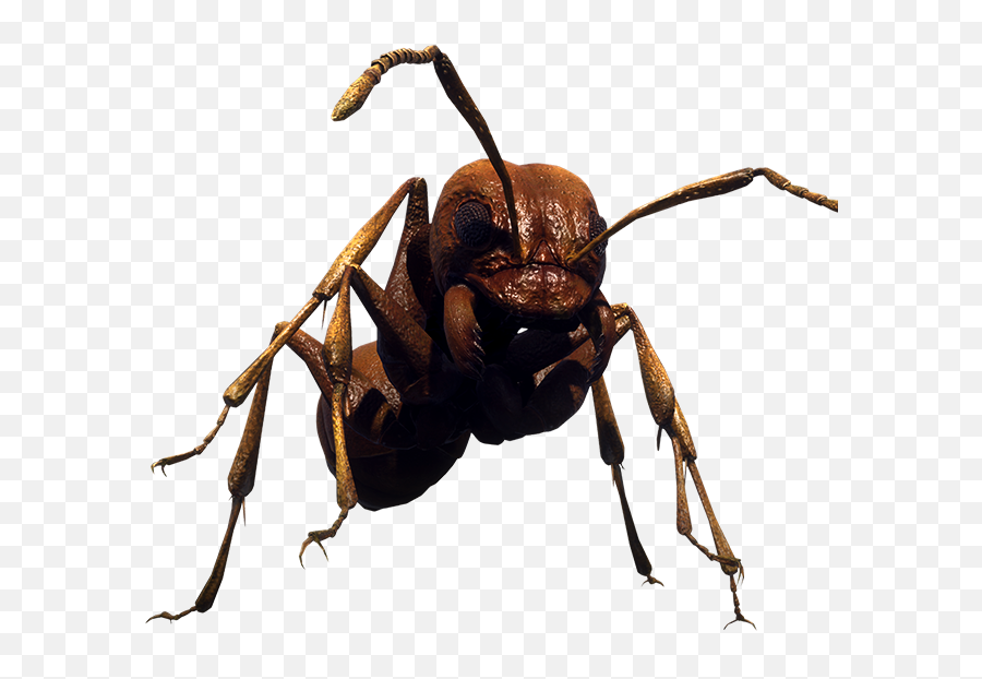 Earth Defense Force Iron Rain - Earth Defense Force Ants Png,Ant Png