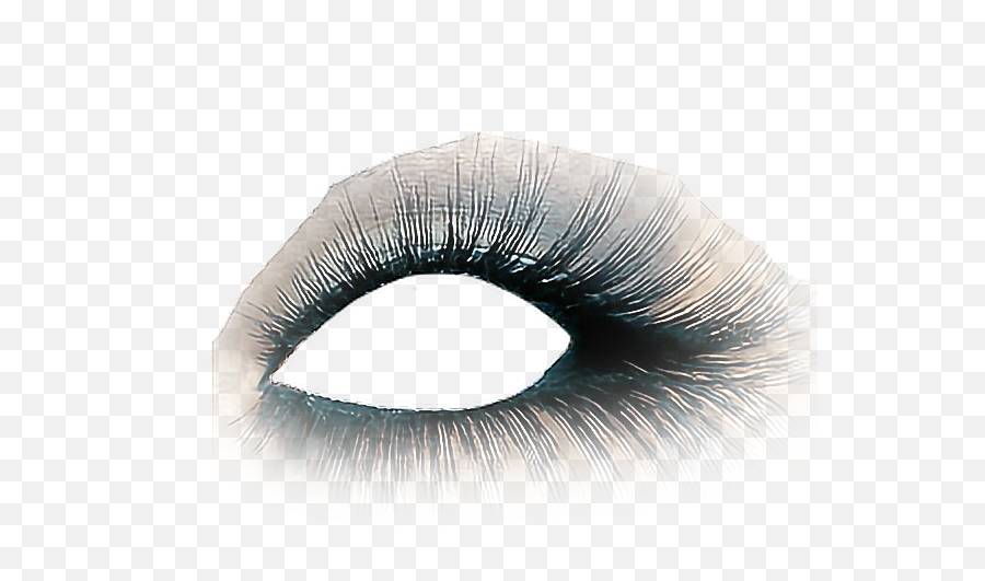 Eyelashes Png - Eyeshadow Eyelashes Lashes Lash Eye Makeup Eye Makeup Transparent Background,Eyelashes Transparent