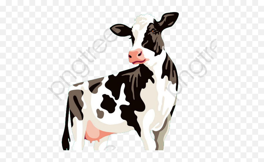 Cows Cow Painted Illustration - Turner Dairy Clipart Full Cow Illustration Png,Cow Emoji Png
