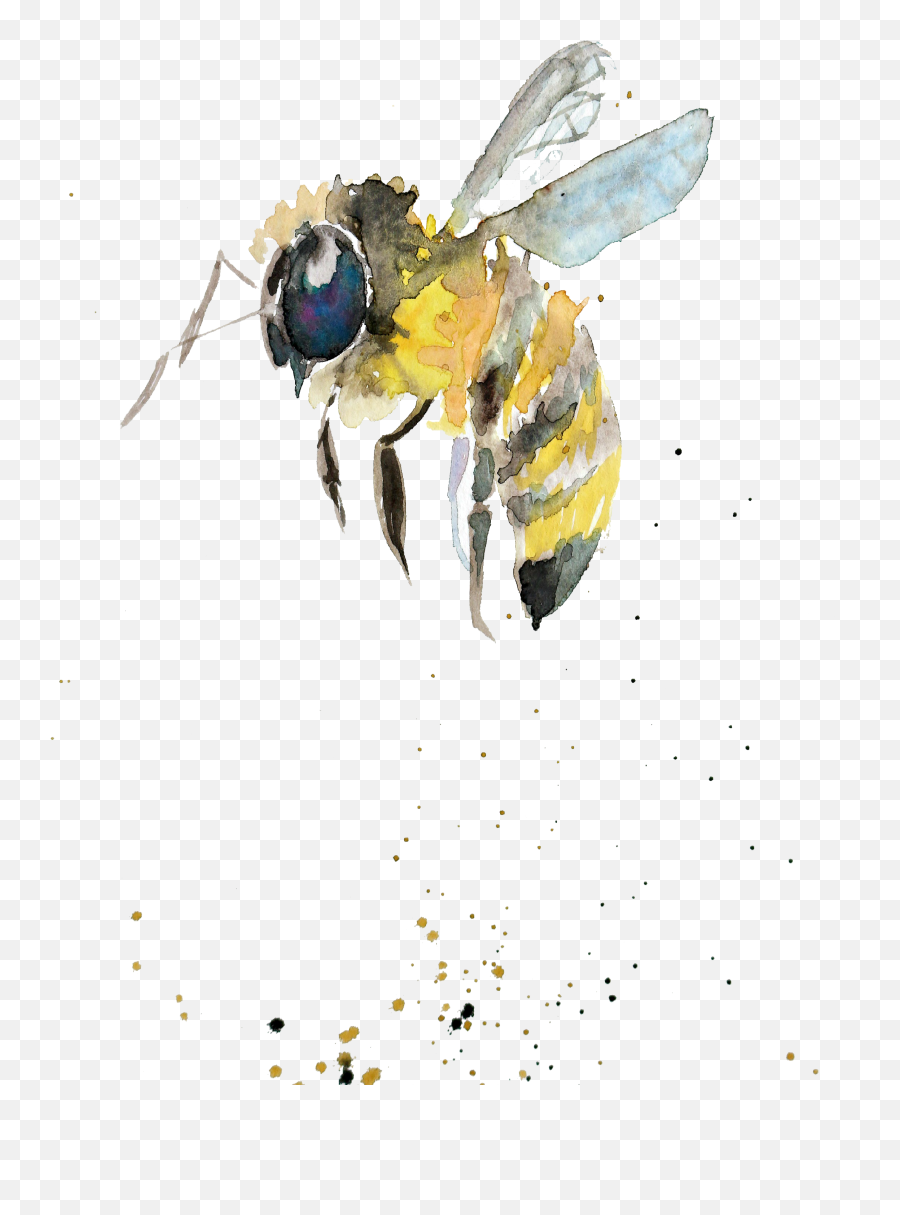 Bumblebee Watercolor Painting Drawing Insect Gift - Watercolor Bee Transparent Background Png,Bee Transparent Background