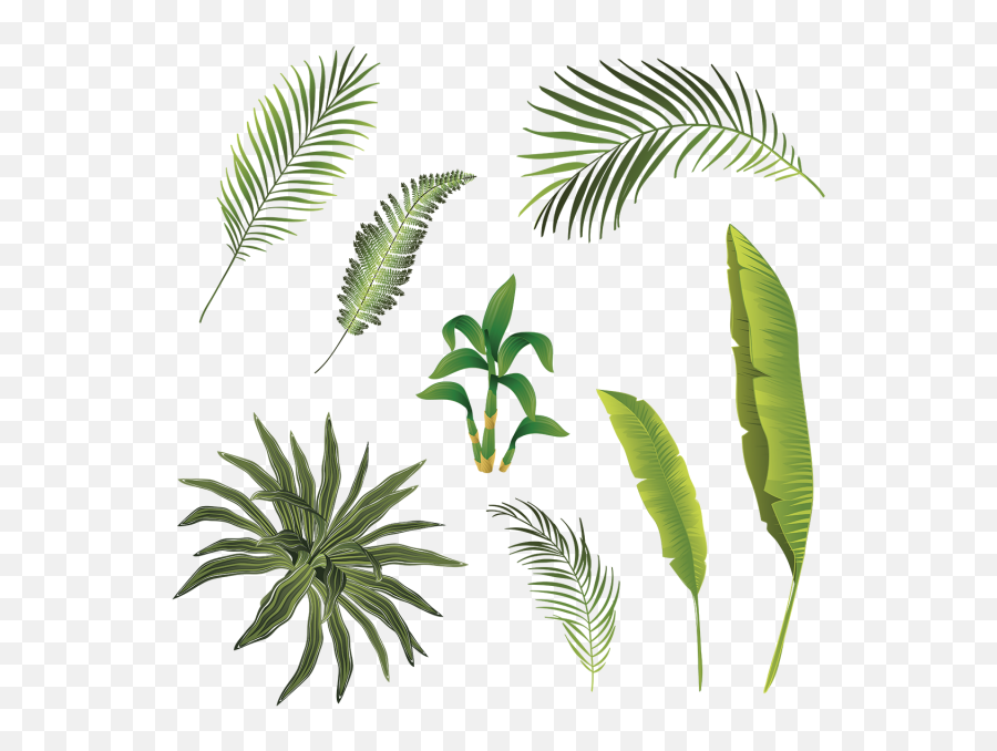 Tropical Branch And Leaves Collection - Watercolor Palm Svg Png,Hojas Png