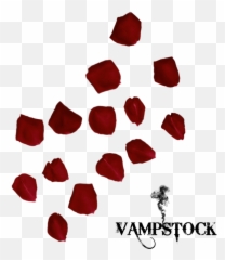 Download Hd Falling Rose Petals Png - Transparent PNG Single
