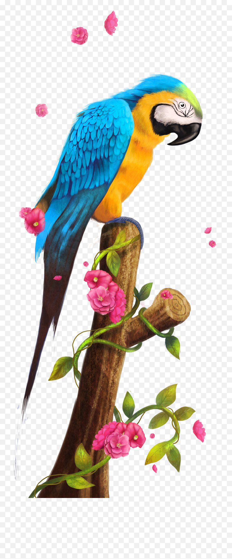 Clipart Bird Parrot Transparent Free Png Parakeet