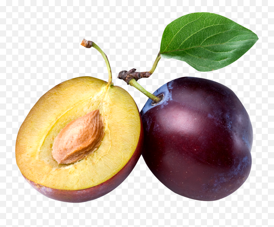 Plum Png Photos Play - Prune And Plum Difference,Fruit Tree Png