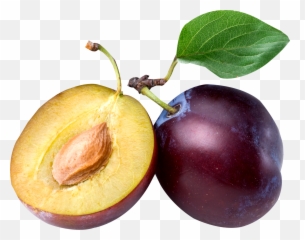 Plum Png Photos Play - Prune And Plum Difference,Fruit Tree Png