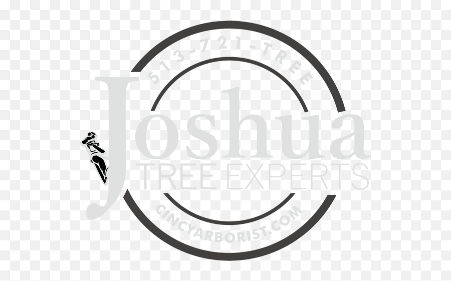 Joshua Tree Experts - Relax Full Size Png Download Seekpng Circle,Relax Png