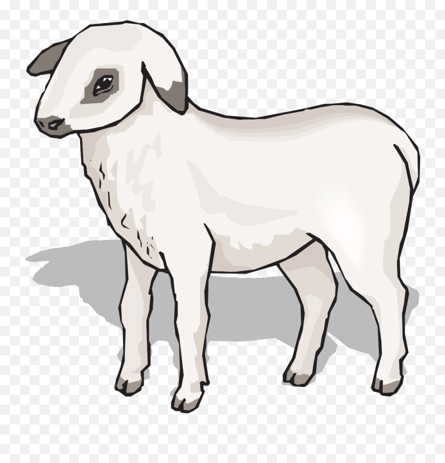 Lamb Png Svg Clip Art For Web - Download Clip Art Png Icon Imagenes De Animales Con Sombra,Lamb Png