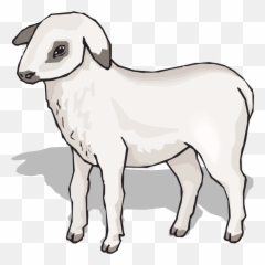 Lamb Png Svg Clip Art For Web - Download Art Icon Imagenes De Animales Con Sombra